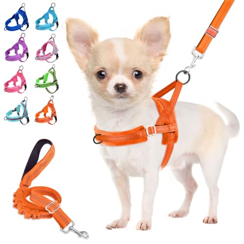 Lukovee No Pull Dog Harness and Leash Set, Soft Padded Small Dog Harness, Neck & Chest Adjustable Reflective Vest Puppy Ha...