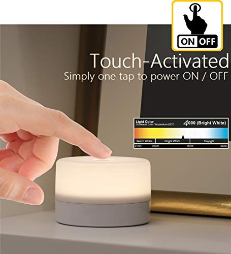 RTSU Bedside Lamp, Dimmable Touch Tap Light Novelty Light, Kids Children Adult LED Nightlight, Table Desk Atmosphere Decor...
