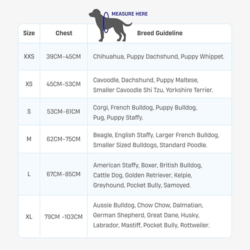 Dog Friendly Co. Dog Harness | Chafe Resistant Webbing, Adjustable Neck & Chest, and Heavy Duty D-Ring | Sturdy, Comfortab...