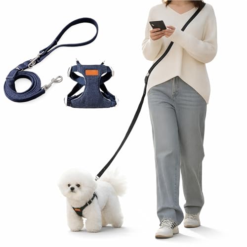 Persevere Hands Free Dog Leash and Harness Set, Adjustable No Pull Puppy Harness, Soft Breathable H-Type Vest for Small Me...