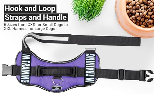 Service Dog in Training Vest - Adjustable No Pull Dog Harness with Patches. in Training Dog Vest for Service Dogs Small, M...
