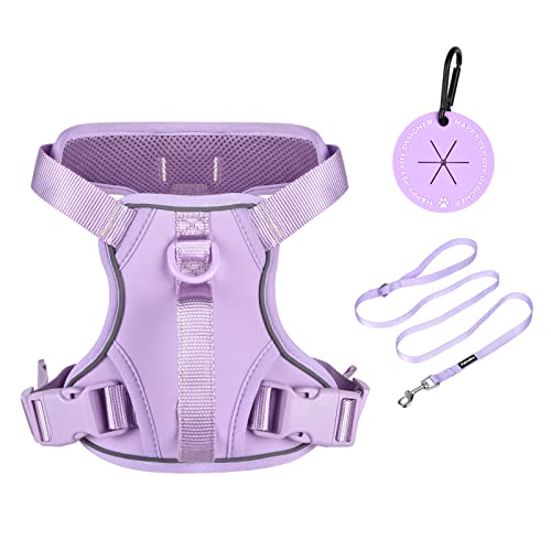 Petmolico Dog Harness for Small Dogs, Cute Harness Vest with Two Leash Clips and Soft Handle, Reflective Easy Walk Puppy V...