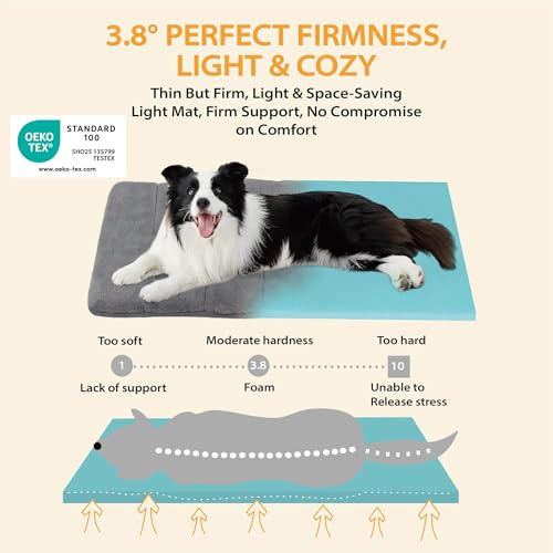 ZAKAPAWS Dog Crate Pad for Small Dogs - 24x18 Memory Foam Dog Bed, Washable & Anti-Slip Dog Bed Mat, Ultra Soft Kennel Pad...