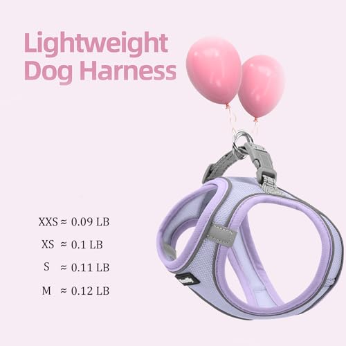 VernAlly Sparkly Dog Harness Small Sized and Leash Set for Small Dogs Cats,Purple S Puppy Harness, Step in Soft Dog Reflec...