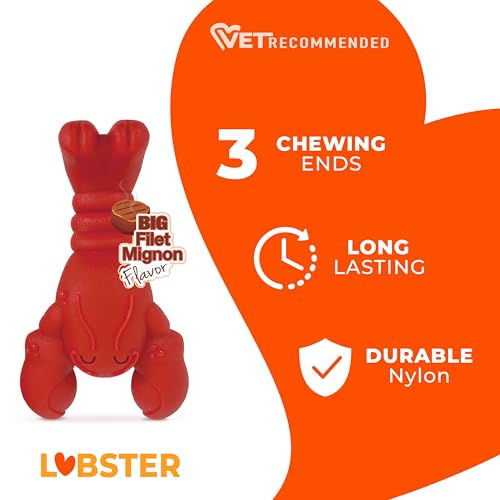 Nylabone Lobster Power Chew Toy for Dogs, Dog Toys for Aggressive Chewers, Filet Mignon Flavor, Small Dogs - Up to 25 Ibs,...