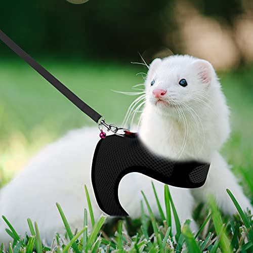Rypet Small Animal Harness and Leash - Soft Mesh Pet Harness with Safe Bell, No Pull Comfort Padded Vest for Small Pet Bla...