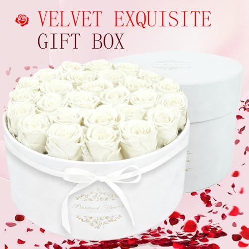 27 Forever Flowers in a Luxury Suede Box, Preserved Roses Birthday Gifts for Women, Romantic Anniversary Wedding Gifts for...