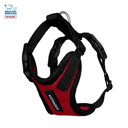 Best Pet Supplies Voyager Step-in Lock Pet Harness w Reflective Pet Leash Combo Set with Neoprene Handle 5ft - Supports Sm...