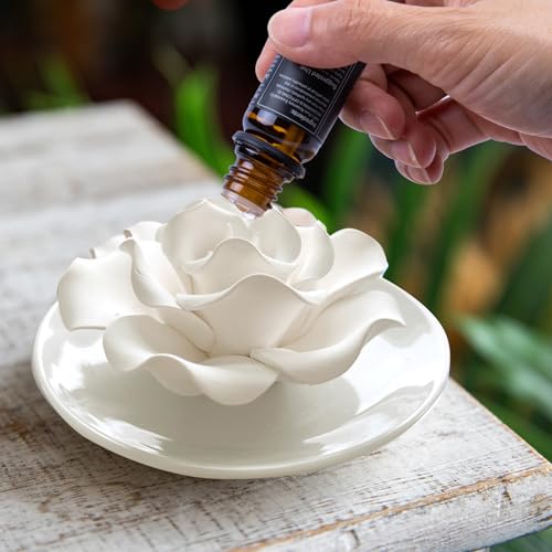 Passive Diffuser for Essential Oil-Ceramic Diffuser Non Electric Oil Diffusers for Small Mini Room, Desk Decorative, Bathr...