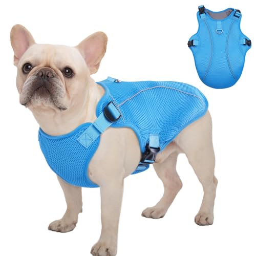 Kuoser Dog Cooling Vest Harness, Small Puppy Cooler Jacket with Adjustable Buckle for Outdoor Beach, Hiking, Training Blue S