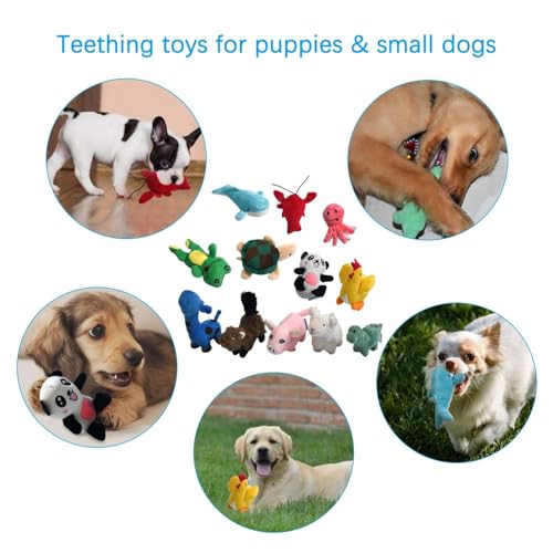 LEGEND SANDY Squeaky Plush Dog Toy Pack for Puppy, Small Stuffed Puppy Chew Toys 12 Dog Toys Bulk with Squeakers, Cute Sof...