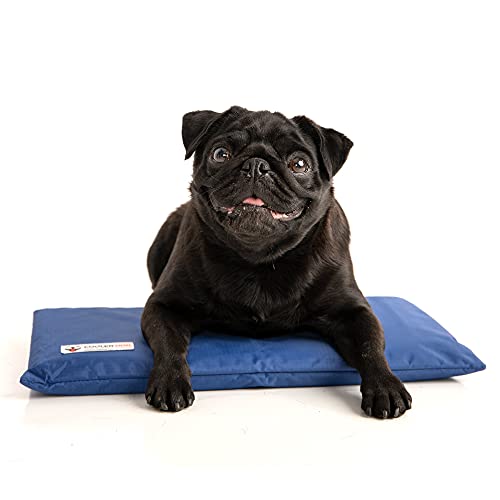 CoolerDog Hydro Cooling Mini Mat for Dogs – Dog Cooling Mat & Cooling Pad for Hot Weather – Triple Layer Ice & Water Cooli...