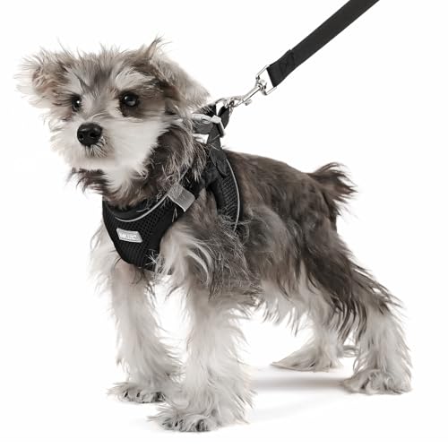 Bolux Dog Harness Small Sized and Leash Set, Step in Soft Light Puppy Vest, Breathable Mesh Pet Harness, Reflective for Sa...