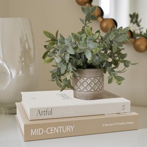 Aesthetic Decorative Books - Set of 2 Stylish Boxes Enhance Your Coffee Table, Bookshelf or Mantel Decor - Beautiful Fake/...