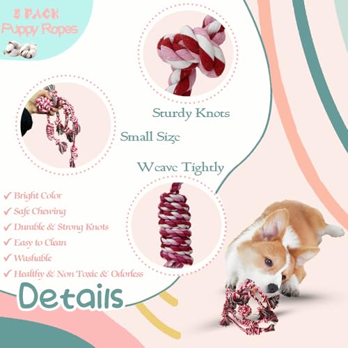 20Pcs Puppy Teething Toys for Small Medium Dogs - Cute Chew Toy Bundle Includes Plush Squeaky Toys, Rubber Ball, Rope Toy,...