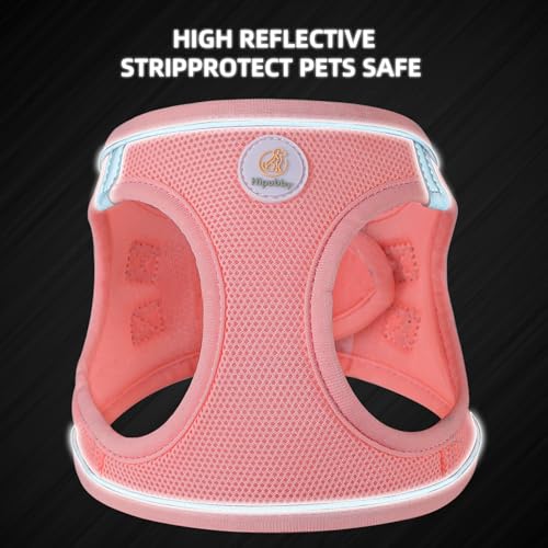 Hipubby Dog Harness and Leash Set, No Pull Soft Mesh Puppy Harness for Small Medium Dogs, Cats - Step in Reflective Breath...