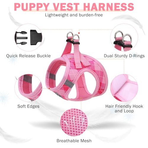 SCENEREAL Small Dog Harness and Leash Collar Set, Step in No Pull Soft Mesh Dog Harnesses for Small Medium Sized Dogs Pupp...