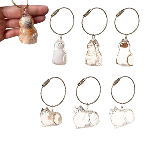 Pet Fur Memorial Keychain-Transparent cat Hair Keychain,Pendant for Cat & Dog Hair Collection -Animal Lovers Keepsake Gift