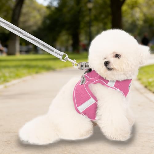Small Dog Harness and Leash Set, Step-in Puppy Vest with Breathable Soft Padded Mesh, Walking Reflective Pet Harness for S...