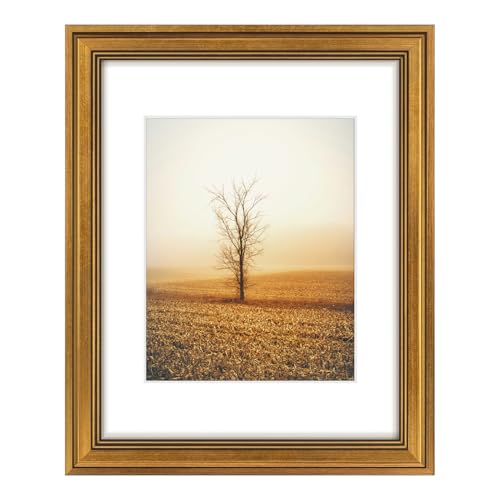 Golden State Art, 11x14 Photo Frame with White Mat for 8x10 Pictures & Real Glass, 1.25-Inch Wide, Dark Gold