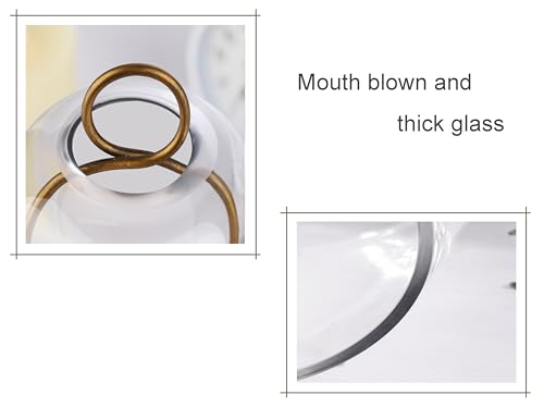 5" & 4" Wide Versatile Metal Candle Holder with Handmade Sturdy Glass Dome in Brass for Pillar Candle & Plants, 5.1" xH11....