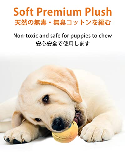 SCHITEC Squeaky Dog Toys, [6 Pack] Soft Stuffed Plush Balls with Squeakers, Interactive Fetch Play for Puppy Small Pets