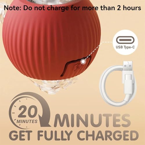 Rocfish Durable Interactive Cat Toys for Indoor Cats, Smart Automatic Cat Chase Ball Toy, Upgraded Speedy Tail Kitten Toy ...
