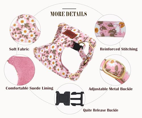 No Pull Dog Harness Adjustable Small Dog Harness and Leash Set, Lightweight and Soft Dog Harness No Choke Escape Proof Pet...