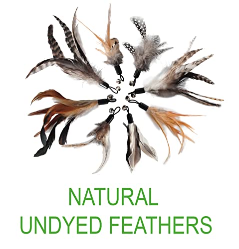 EcoCity Cat Toys - No Chemical Dyeing Cat Feather Toys for Indoor Cats - Include Cat Wand and Natural Feather Refills