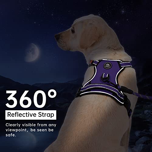 IVY&LANE No Pull Dog Harness for Medium Dogs, Dog Vest Harness with Leash, Safety Belt and Storage Strap, Fully Adjustable...