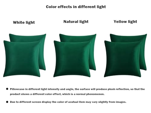 RainRoad Dark Green Decorative Throw Pillow Covers Cushion Cover Pillow Case for Sofa Couch Bed Chair,Soft Square Dark Gre...