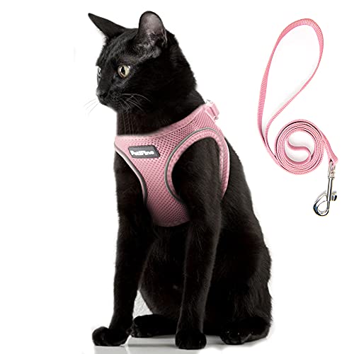 PetiFine Extra Small Step in Dog Harness and Leash Set, Cat Harness and Leash Escape Proof, All Weather Mesh Reflective, S...