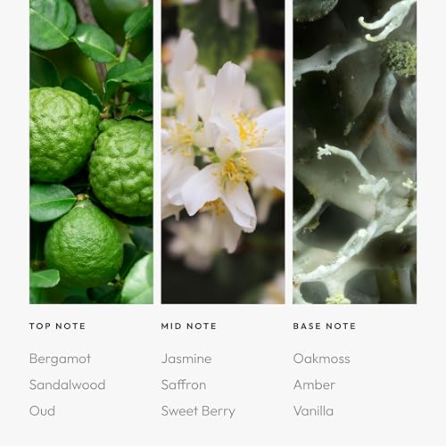 Aroma360 - Chandelier Fragrance Oil Blend | Hotel Inspired for Luxury Essential Oil Diffusers | Aromatherapy Scent Diffuse...