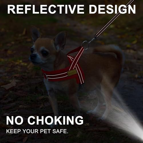 BEAUTYZOO No Pull Dog Harness Medium Sized Dog, Breathable Mesh Padded Dog Harness and Leash Set, Adjustable Reflective Es...