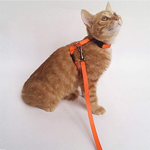 GOZOLA 2 Pack Cat Harness and Leash | Adjustable Halter Harness with Nylon Strap, Safety Rope Leads for Kittens | Orange &...