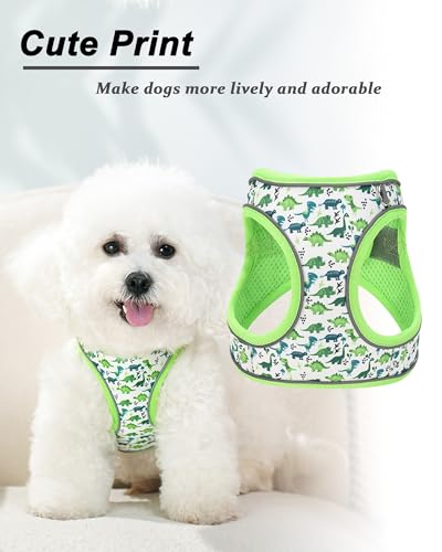 JUFOO XXS Green Dinosaur Pattern Dog Harness and Leash Set,No Escape Puppy Harnesses for Training Walking，Breathable Adjus...