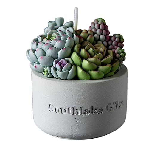 Assorted Succulent Pot Scented Vegetable Wax Candle for Spa Home Decoration Wedding Gift