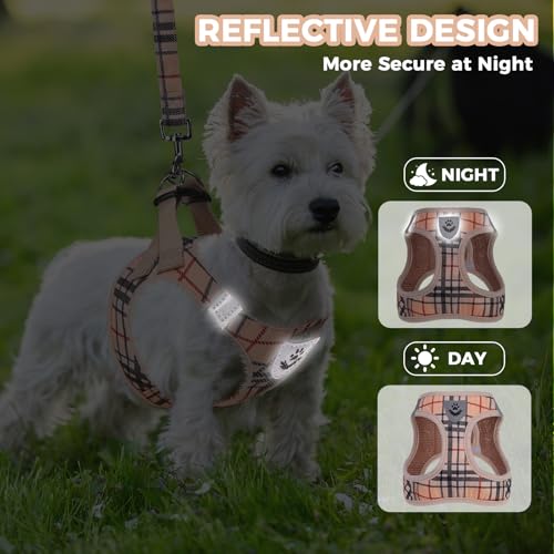 PAWCHIE Dog Harness and Leash Set, Step in No Pull Soft Pet Harness, Reflective Adjustable Puppy Vest for Small Medium Dog...