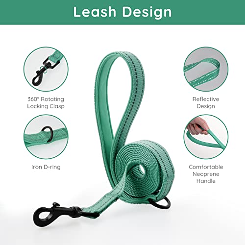 BELLA & PAL Small Emerald Dog Harness with Leash Set, No Pull, Step in Design, Reflective, Lightweight Mesh, S