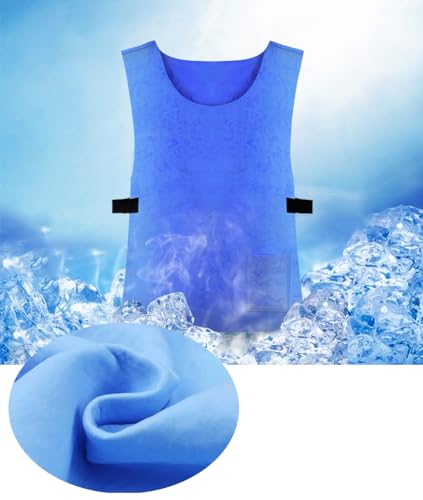 Cooling Vest for Men and Women - Adjustable Cold Vest for Sports, Fishing, Cycling, Running, Motorcycle, Gardening, Cookin...