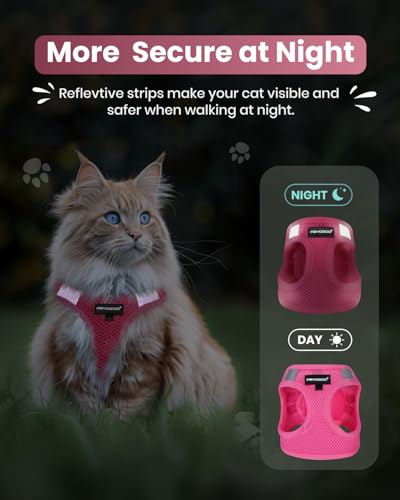 FAYOGOO Cat Harness and Leash Set | Upgrade Step-in Escape Proof Harness | Lightweight Soft Vest, No-Choke Design for Walk...
