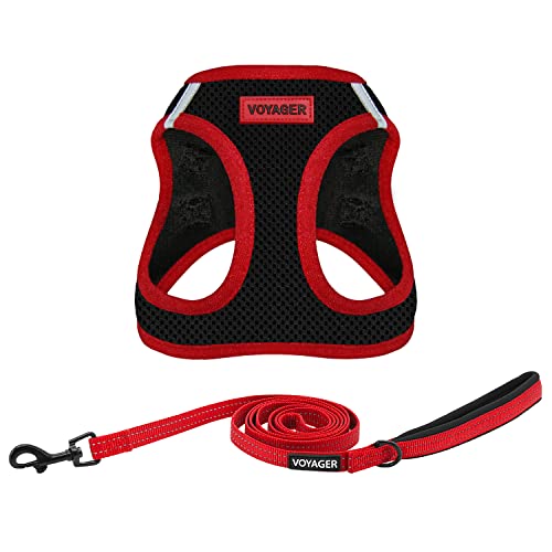 Best Pet Supplies Voyager Step-in Air All Weather Mesh Harness and Reflective Dog 5ft Leash Combo with Neoprene Handle, fo...