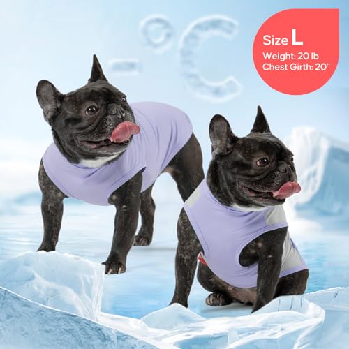 KYEESE 2Pack Dog Cooling Shirt, Breathable Dog Shirt for Small Medium Dogs Girl Boy, Sun Protection Reflective Pet Vest, L...