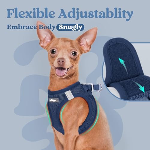 rabbitgoo Small Dog Harness, Step-in Soft Mesh Puppy Vest with Safety Buckle, Breathable Reflective Pet Harness for Small ...