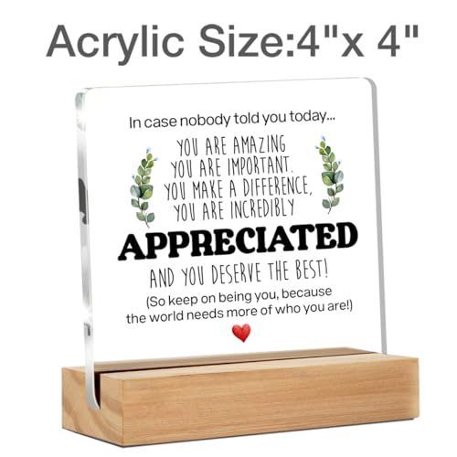 Inspirational Gift Ideas - Thank You Gifts for Women Men Friends - Appreciation Gifts for Coworker - Motivational Quote Cl...