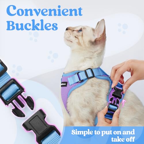 rabbitgoo Cat Harness and Leash Set, Escape Proof Soft Adjustable Vest Harnesses for Outdoor Walking, Easy Control Breatha...