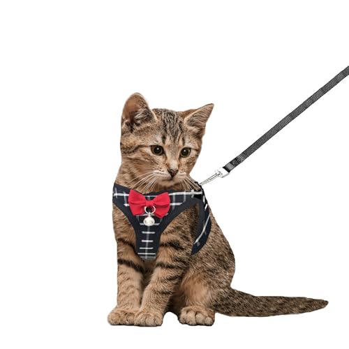 Cat Leash and Harness Set,Breathable Dog Harness,Pet Harness,Adjustable Mesh cat Harness and Leash Escape Proof for Puppy ...