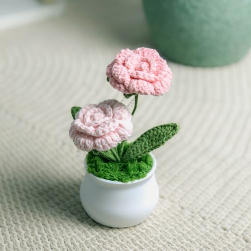 Joekaran Crochet Flowers Cute Little Potted Flower, Birthday Gifts for Women, Mother's Day, Teacher’s Day, Graduation, Ann...