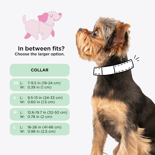 Sassy Woof Dog Collar Barbie™ Malibu - L, Adjustable, Durable, Comfortable and Stylish Pet Accessories for Large Dogs - Of...