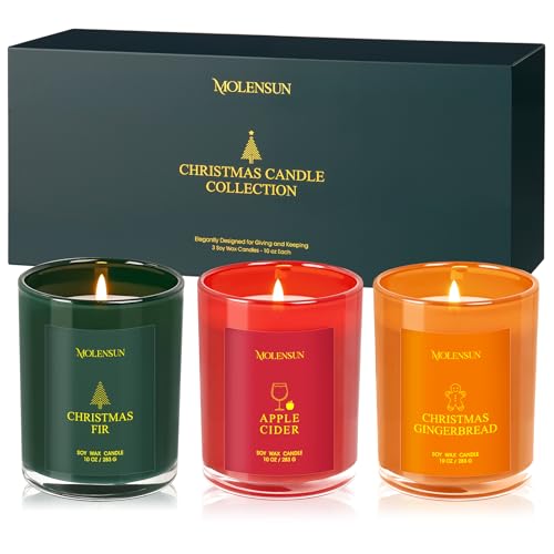 Valentine's Day Candles Gift Set, 3 Pack 30oz Scented Candles for Home, Soy Candle Scents of Apple Cider/Gingerbread/Fir, ...